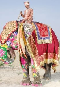 The Print Gallery Handbag Made in India